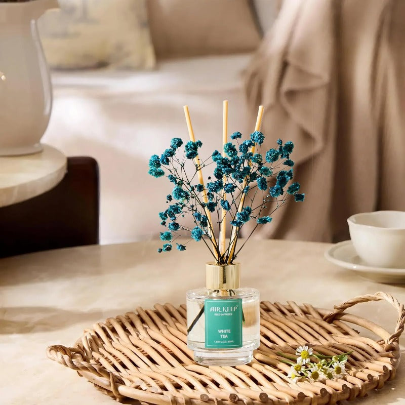 3-in-1 Reed Diffuser Aroma Oil Diffuser Set with Clean, Jasmine & Tea Scents - Long-Lasting Essential Oil System, Refillable Reed Sticks, & Preserved Flowers - for, Office, Gift (1.69oz Each) - Easy Scent Control